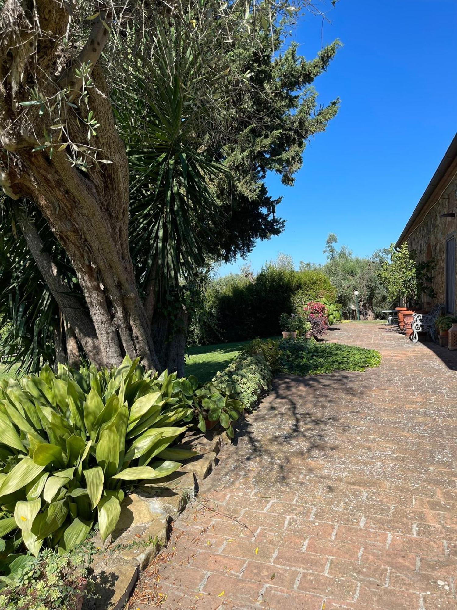 Tenuta Campospillo Magliano in Toscana Esterno foto